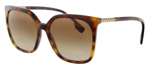 Burberry 0BE4347 33161356 Full Rim Havana Square Sunglasses